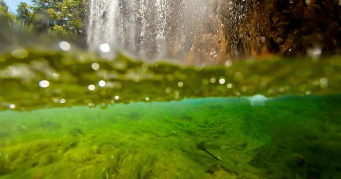 I Dove In The Lakes And Under The Waterfalls Of The World-Famous Plitvice Lakes, Croatia