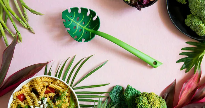 A New Kitchen Adventure Straight From The Jungle!