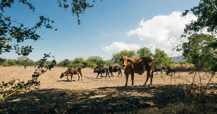 A Small Village On The Edge Of The Earth In Nicaragua