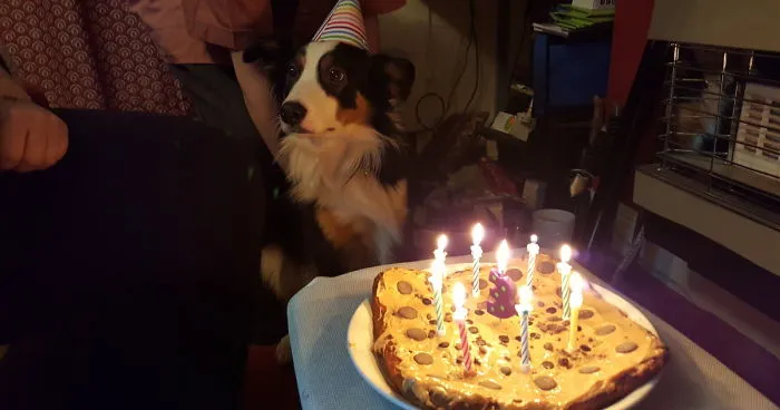 Birthday Boy!!