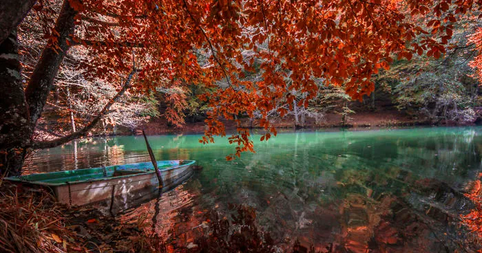 Autumn Tones From Turkey