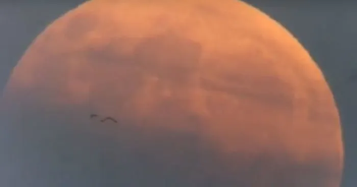 Once In A Lifetime Shot