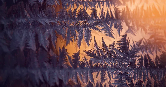 I'm An Adirondack Photographer And More Inspired By The Ice On My Windows Than The Mountain Views