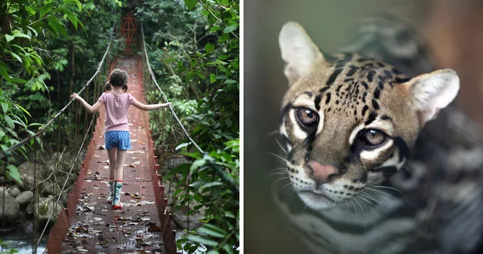Why I'm Taking My 8 Year Old Daughter With Autism To The Forests Of The World