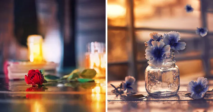 I Try To Combine The Beauty Of Flowers With Photography To Create The Perfect Composition
