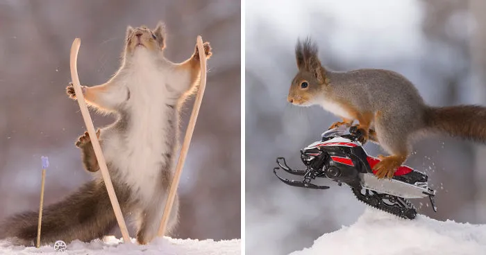 Squirrel Winter Olympics