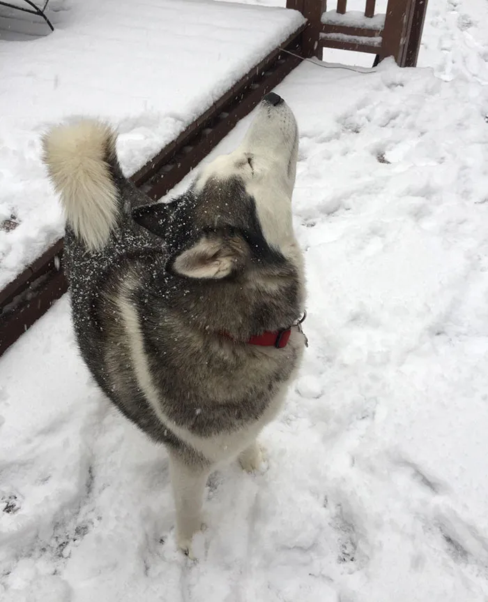 That First Snow