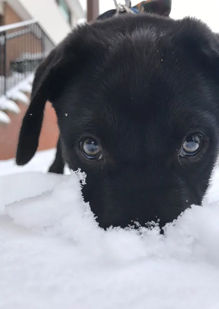 My Little Guy's First Taste Of Snow