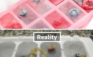 Expectations Vs Reality: 50 Epic Food Fails That Are Too Painful To Watch