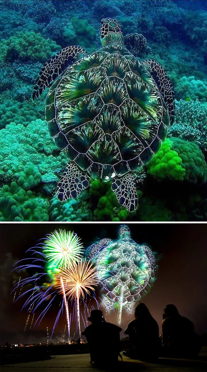A Jewel In The Sea