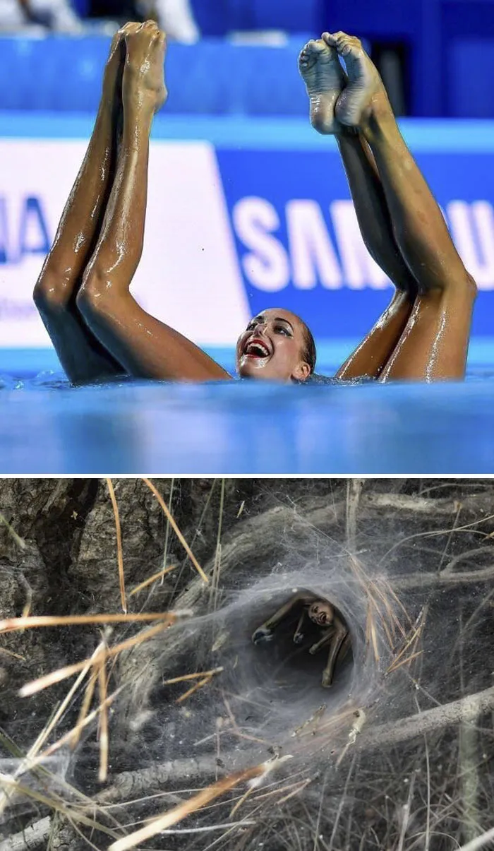 Aqua Dancer