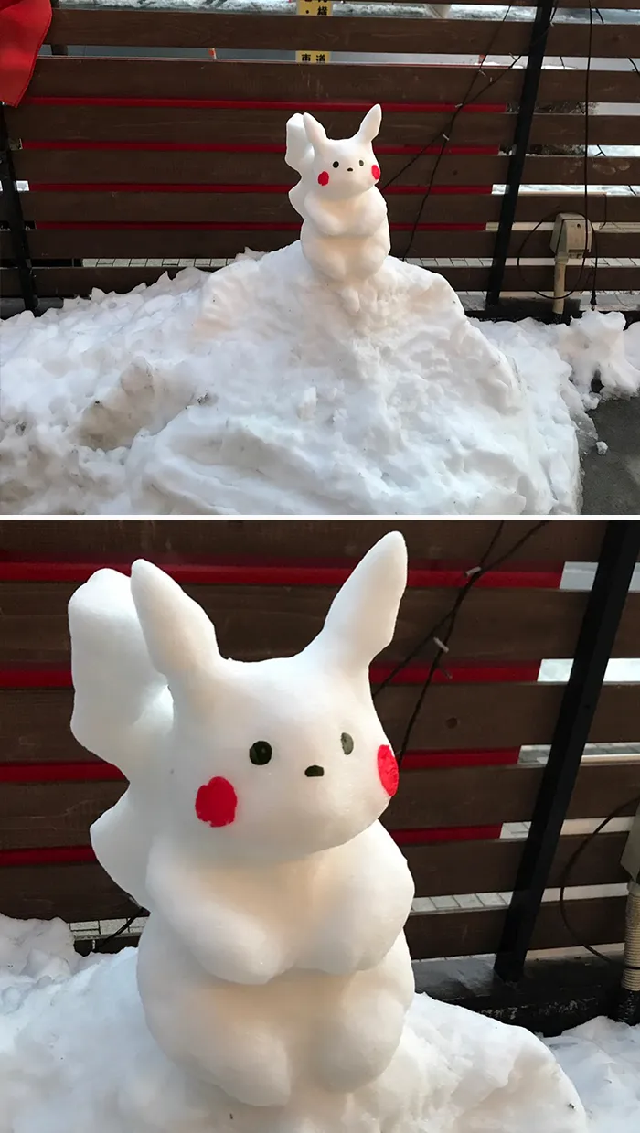 Cae una fuerte nevada en Tokyo y los resultados son los que todos esperábamos