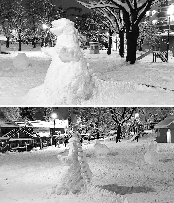 Cae una fuerte nevada en Tokyo y los resultados son los que todos esperábamos