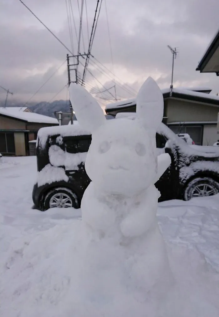 Cae una fuerte nevada en Tokyo y los resultados son los que todos esperábamos