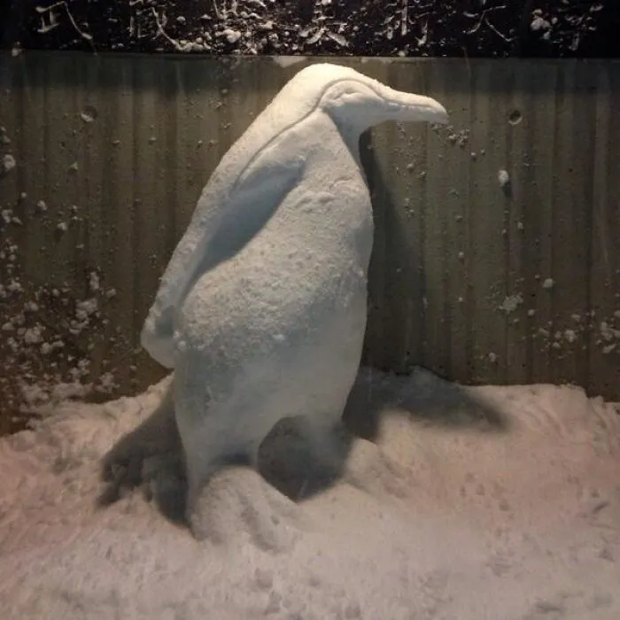 Cae una fuerte nevada en Tokyo y los resultados son los que todos esperábamos