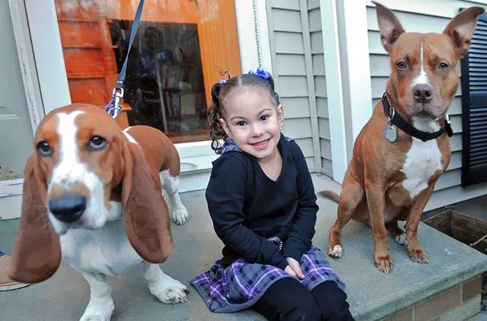 Un zorro agarró a esta niña y se la intentó llevar a rastras. Callie y Abby echaron al animal y la salvaron