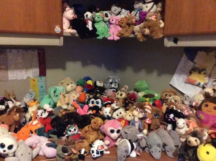 My Ty Collection— 202 Stuffed Animals And Counting