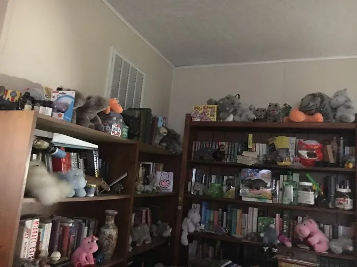 I Collect Hippos. I Have Over 200 Hippos, Including (Not Pictured) A Huge One I Sleep With.