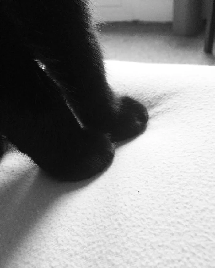My Baby’s Sweet Little Feet
