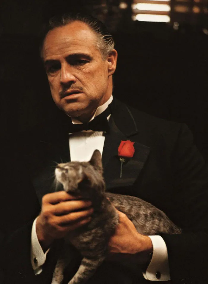 The Godfather