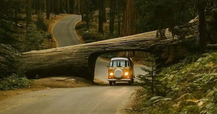 308 Pics From 'Project Van Life' Instagram That Will Make You Wanna Quit Your Job And Travel The World