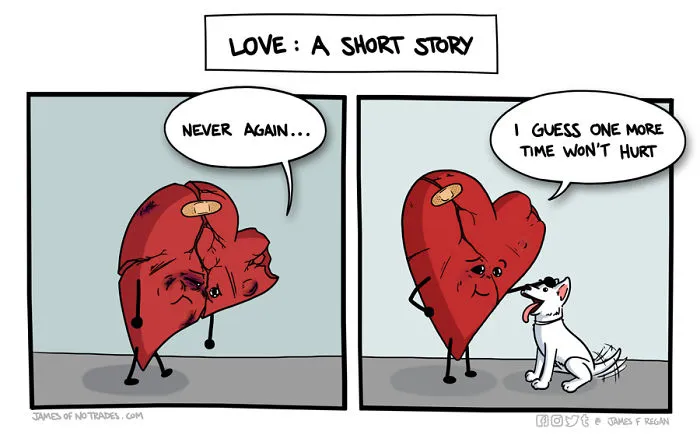 Comics About Making It Through Life 