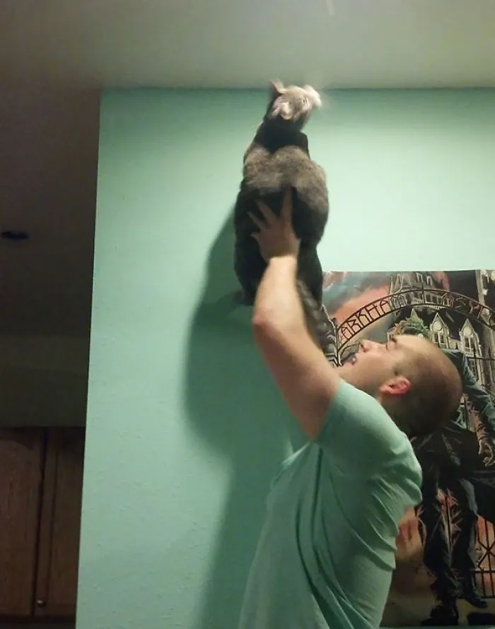 Mi novio y su gato cazando bichos
