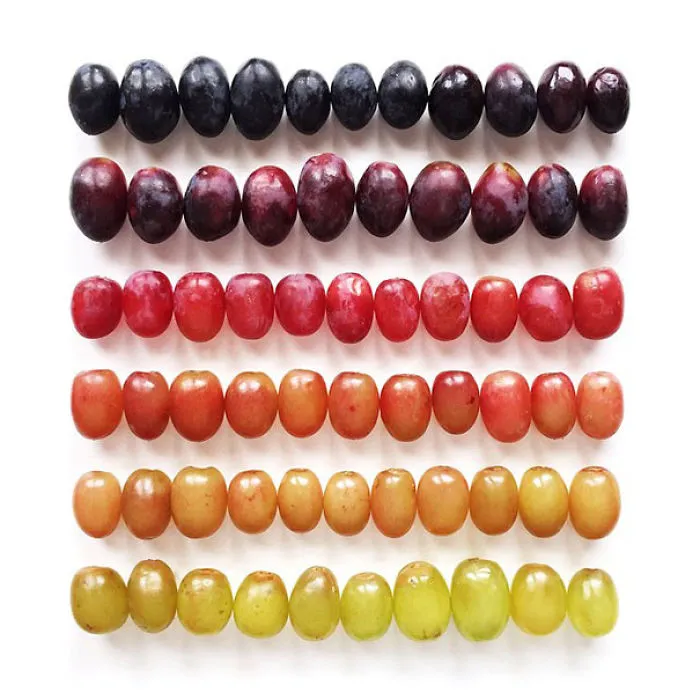 Grape-Dient
