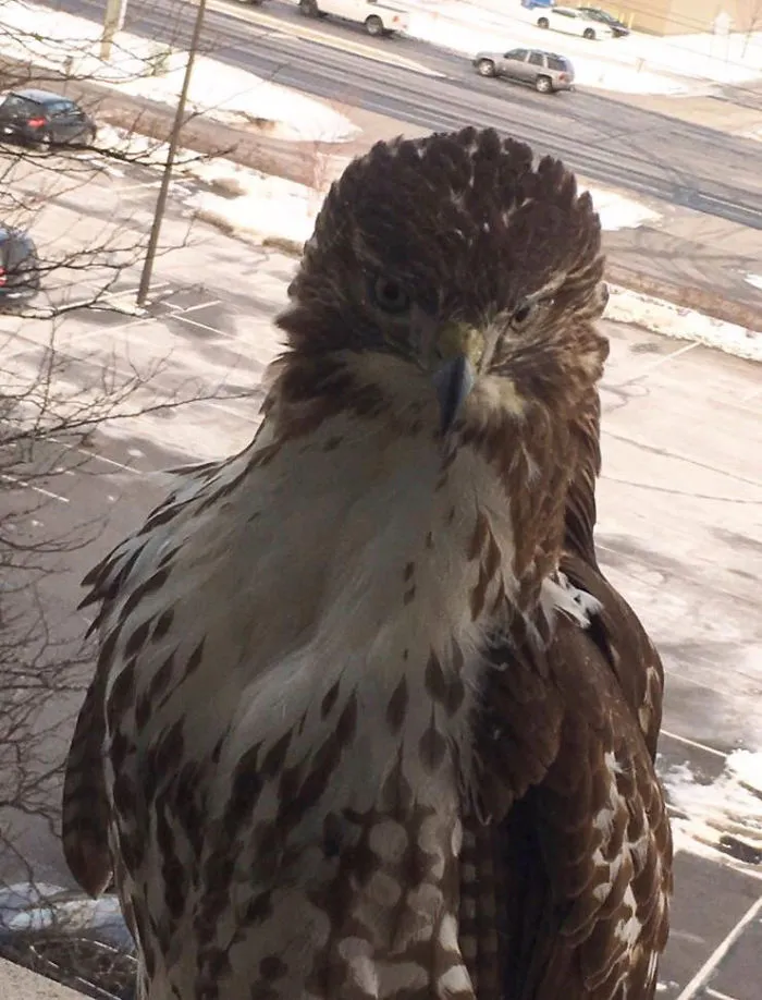 My Mom Also Has A Curious Office Friend