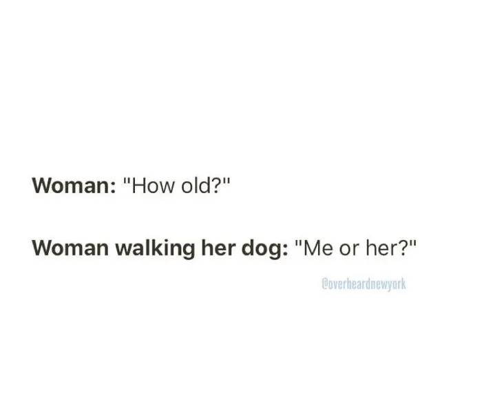 128 Hilarious Conversations That People Overheard In New York And Decided They're Too Good Not To Share