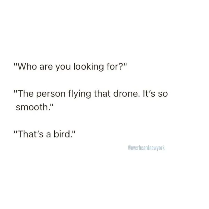 128 Hilarious Conversations That People Overheard In New York And Decided They're Too Good Not To Share