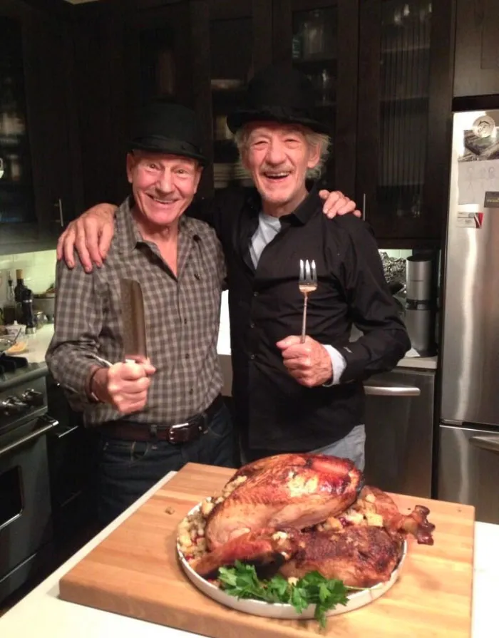 30 Of The Funniest Reasons Why Patrick Stewart And Ian McKellen Are BFFs