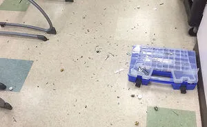 237 People Who Are Having A Worse Day Than You