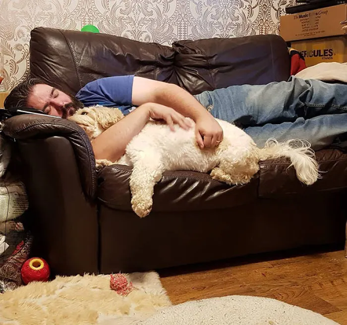 Decía que no necesitábamos un perro. Estaba equivocado