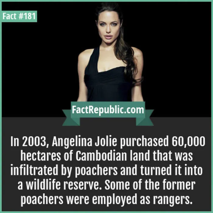 254 Incredible Facts That You Probably Didn't Know