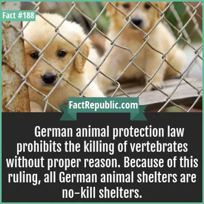254 Incredible Facts That You Probably Didn't Know