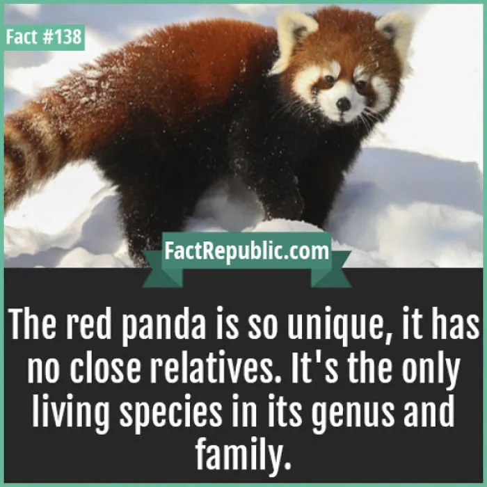 254 Incredible Facts That You Probably Didn't Know
