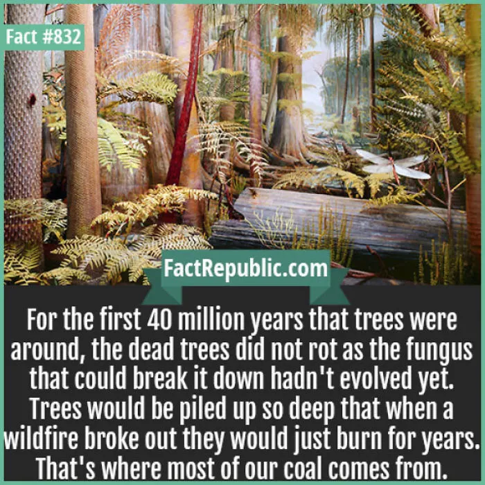 254 Incredible Facts That You Probably Didn't Know