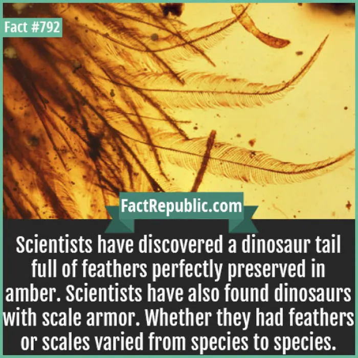 254 Incredible Facts That You Probably Didn't Know