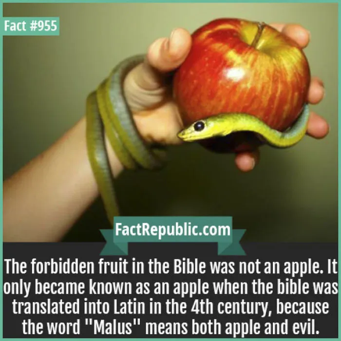 254 Incredible Facts That You Probably Didn't Know