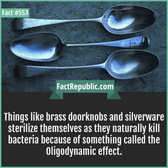254 Incredible Facts That You Probably Didn't Know