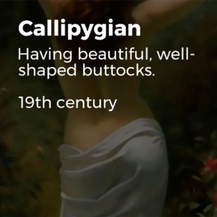 20 Forgotten English Words That Are Just As Useful Today