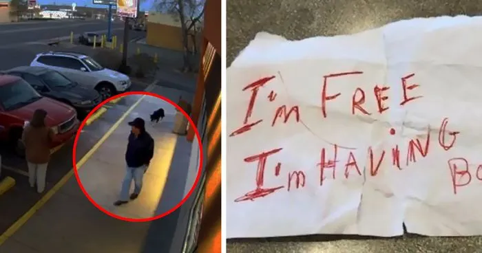 Man Dumps His Dog Near Dunkin' Donuts With A Note Stuck To Her Collar That Will Break Your Heart 