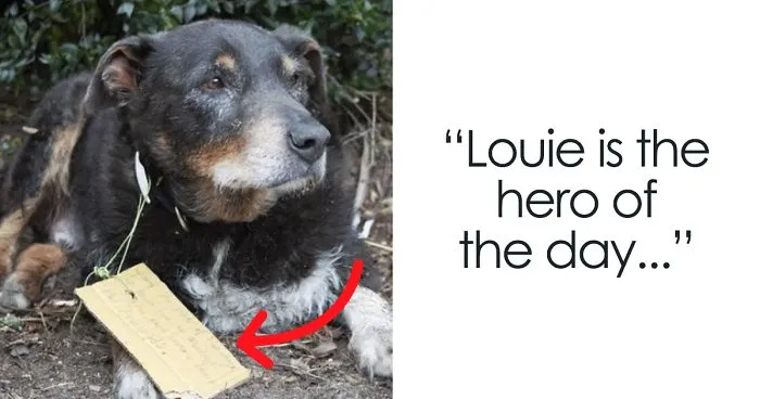 Family Thought They Lost Their Dog Until He Came Back With A Note That Will Melt Your Heart