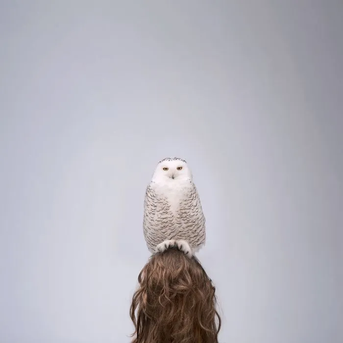 Perched