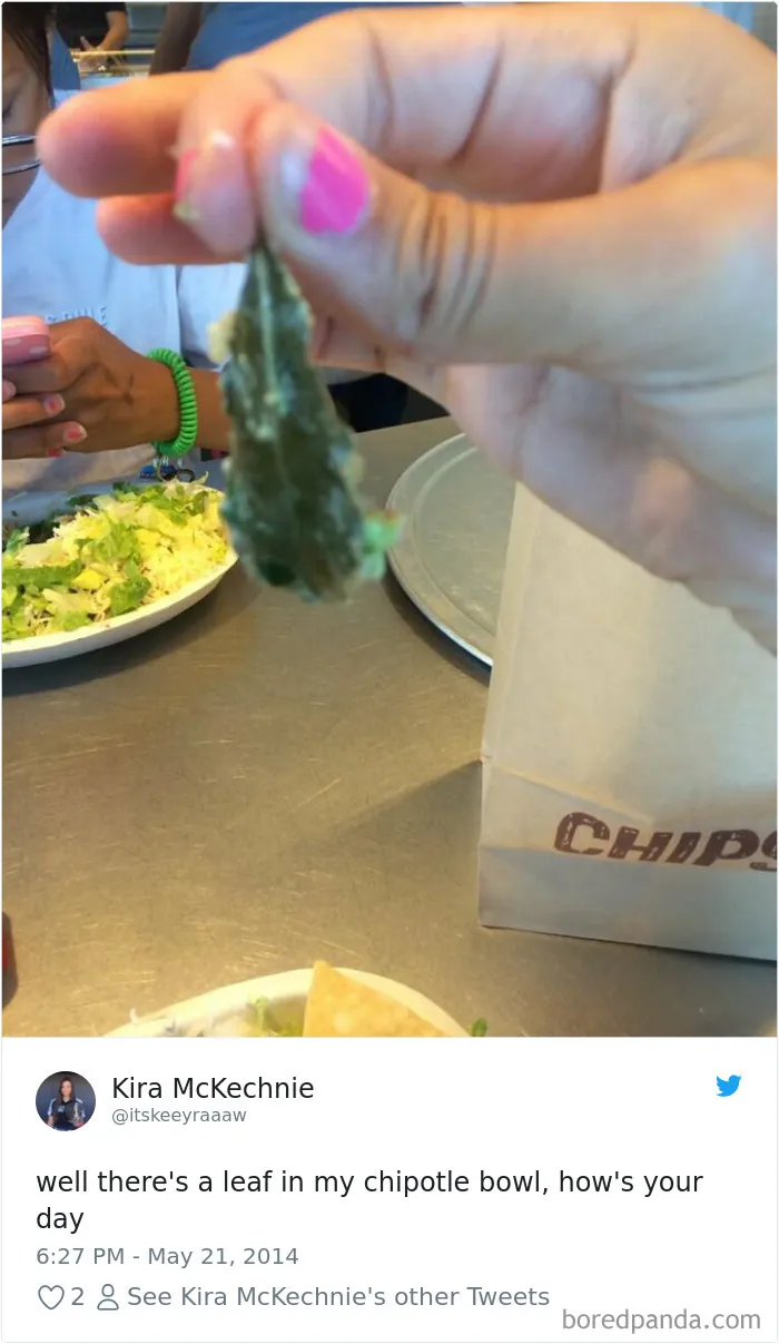 People-Find-Leaves-Food