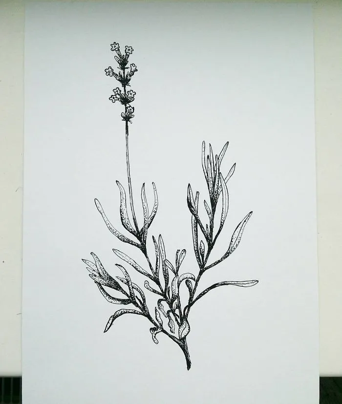 I Enjoy Drawing Ink Dots And Lines