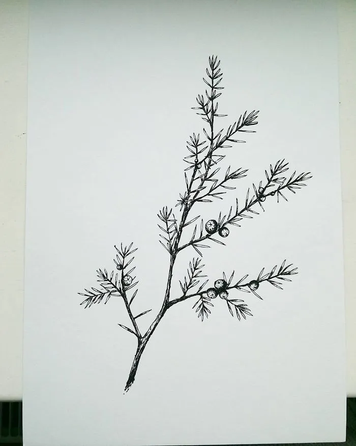 I Enjoy Drawing Ink Dots And Lines