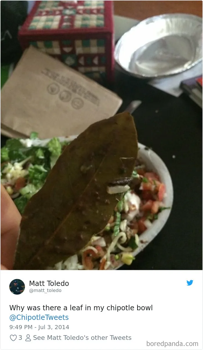 People-Find-Leaves-Food