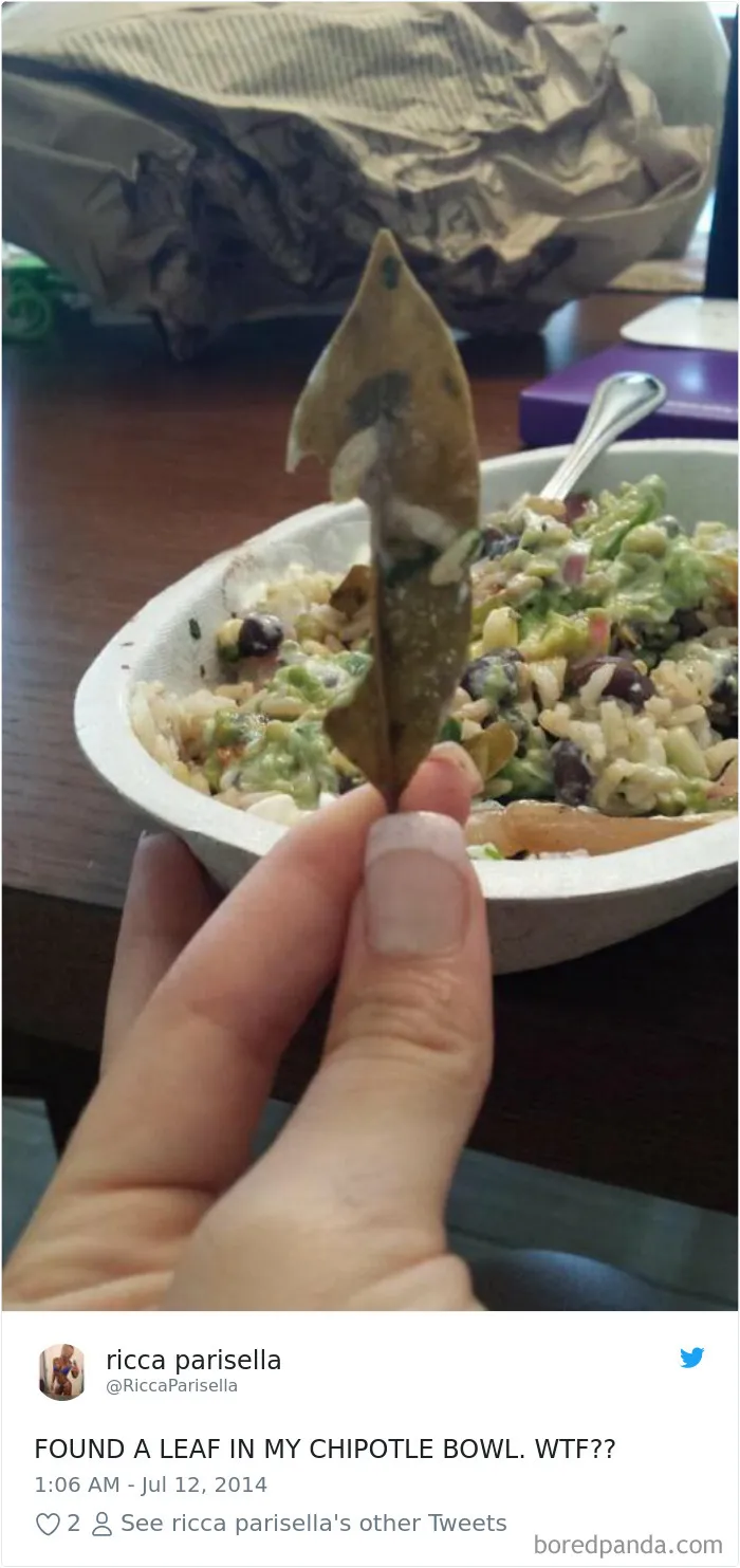 People-Find-Leaves-Food